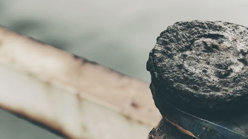 Close-up of statue against sky