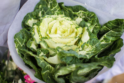 High angle view of vegetables