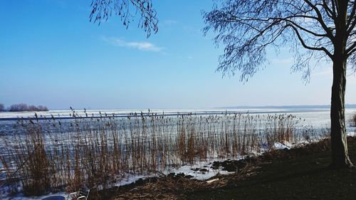 Scenic view of lake against sky during winter