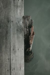 Bird perching on wood against lake