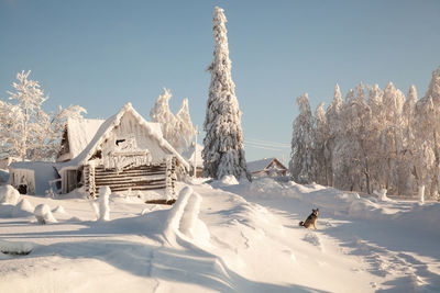 Panoramic view of snow covered land against clear sky