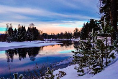 Scenic view of snow covered landscape