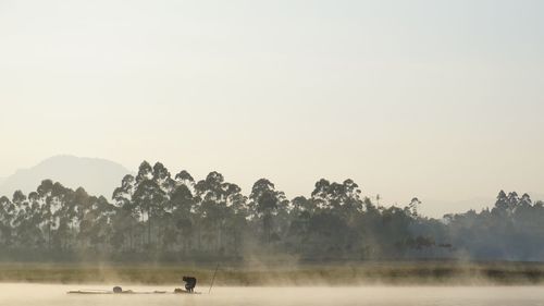 Flock of birds on landscape against sky