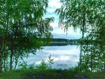 Scenic view of lake in forest against sky