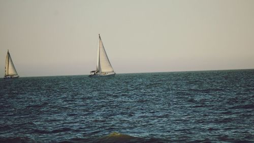 Sailboat sailing on sea against clear sky