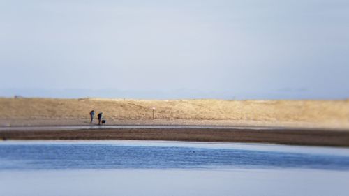 People walking on road against clear sky