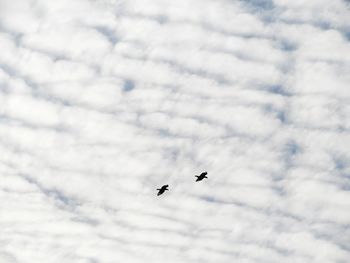 Low angle view of airplane flying against sky