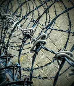 Close-up of chainlink fence