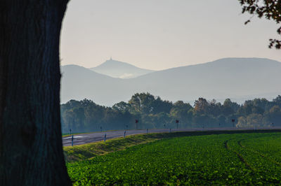 Scenic view of field against clear sky