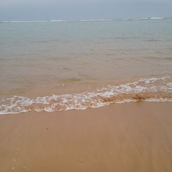 Scenic view of beach