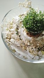 High angle view of food in bowl on table