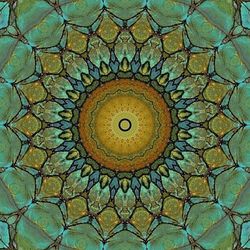 Directly below shot of ornate ceiling