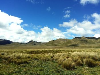 Scenic view of field against sky