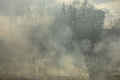 Fire in forest. smoke and fire in nature. burning garbage. illegal landfill is on fire.