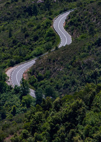 High angle view of winding road amidst trees