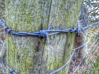 Close-up of tied up of fence