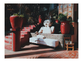 Potted plants on table at home