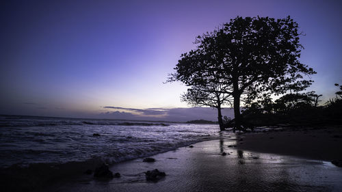 Silhouette tree on beach against sky at sunset