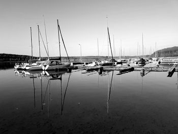 Sailboats moored at harbor against clear sky