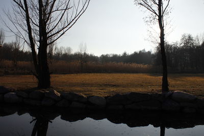 Reflection of bare tree in water against clear sky