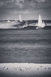 Sailboats sailing in sea against sky