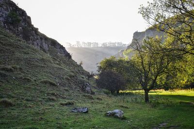 Scenic view of landscape against clear sky