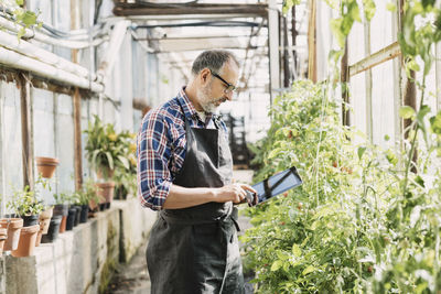 Male gardener using digital tablet in greenhouse