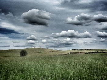 Scenic view of field against storm clouds