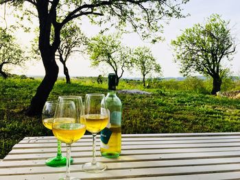 Wine glasses on table against trees