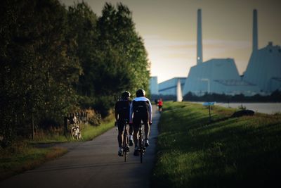 Rear view of cyclists riding bicycles on road during sunset