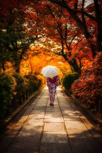 Rear view of woman with umbrella walking on footpath in park during autumn
