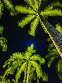 Close-up of fresh green leaves against sky