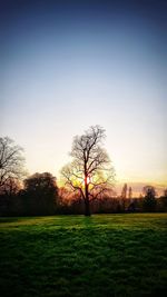 Bare trees on field against sky during sunset