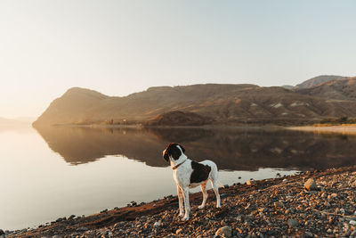 Rear view of woman standing on lake