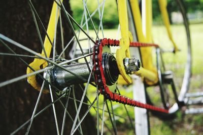 Close-up of insect on bicycle