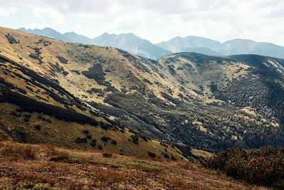 Tatra mountains landscape. scenic view of mountain rocky peaks, slopes, hills and valleys