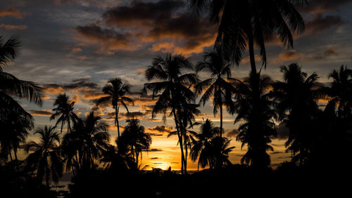 Silhouette palm trees against sky during sunset