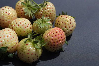 High angle view of fruits growing on cactus