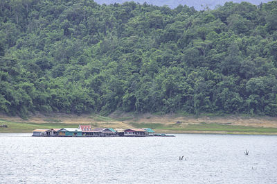 Scenic view of river against trees