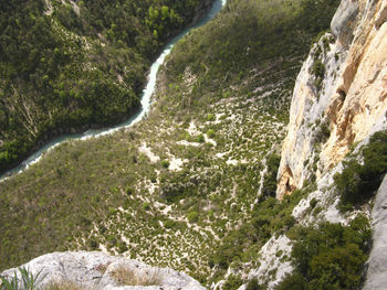 Scenic view of waterfall in forest