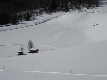 Snow covered land and trees on field