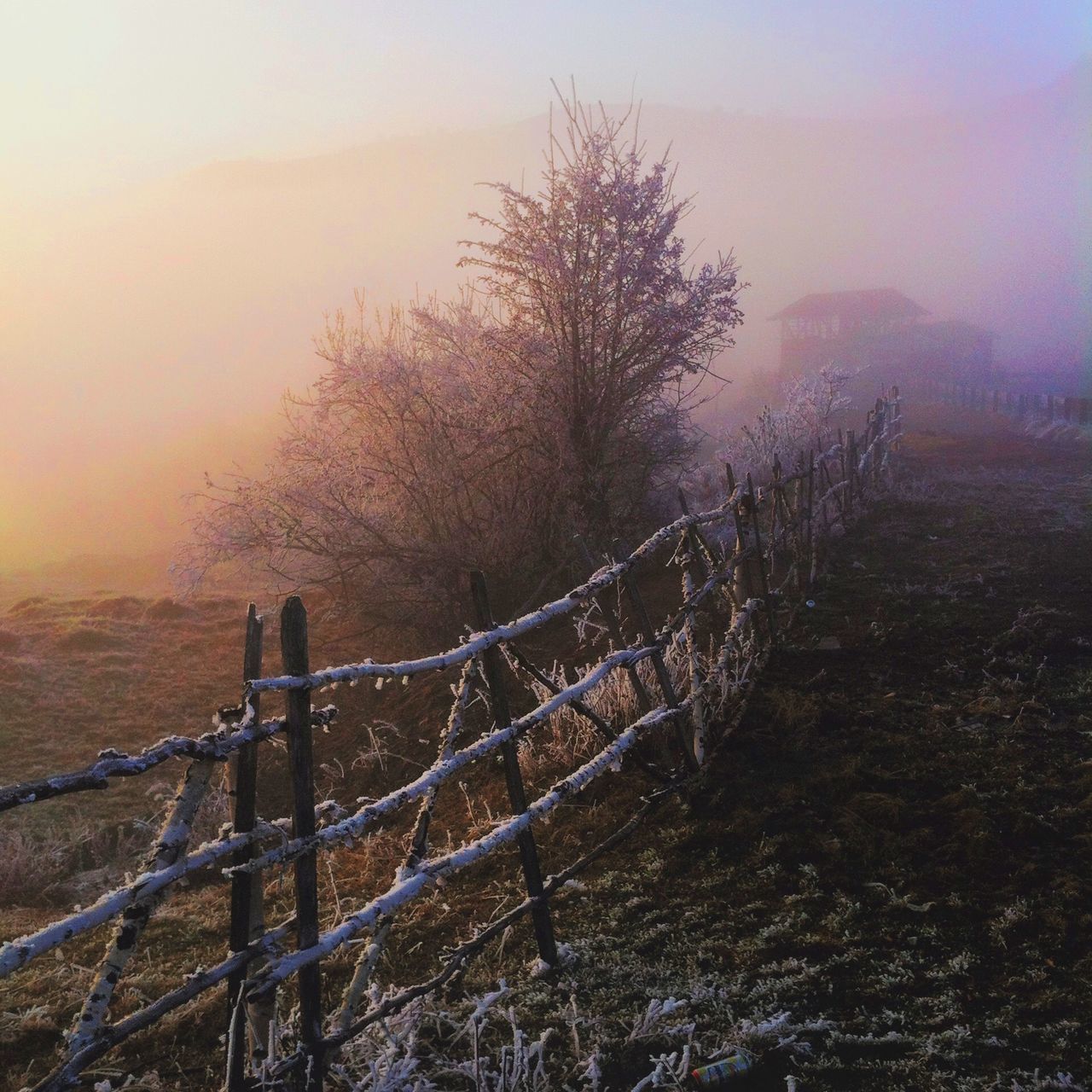 tranquility, tranquil scene, winter, landscape, weather, cold temperature, fog, bare tree, scenics, nature, beauty in nature, snow, foggy, sky, sunset, field, non-urban scene, fence, tree, season