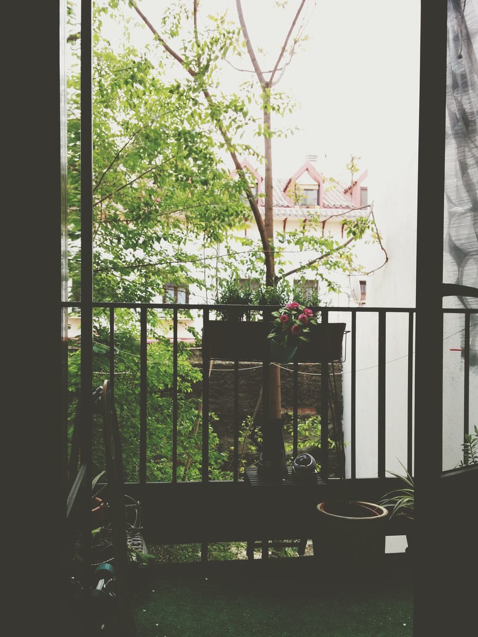 window, indoors, glass - material, tree, transparent, growth, plant, potted plant, built structure, architecture, house, home interior, window sill, day, chair, table, green color, sunlight, balcony, no people