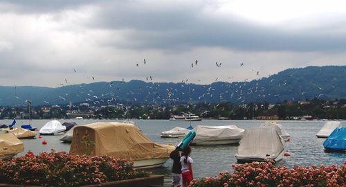 Rear view of siblings in front of birds flying above river