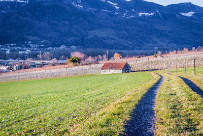 Scenic view of field against mountains