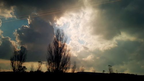 Low angle view of silhouette trees against sky during sunset