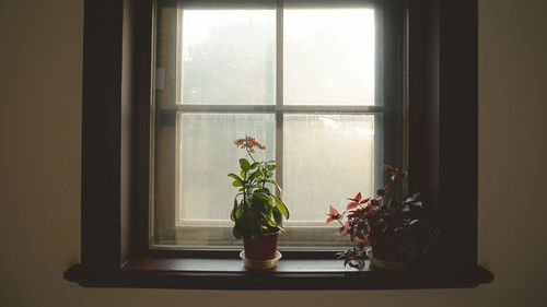 Flower vase on window sill