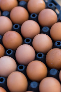Egg in black plastic tray
