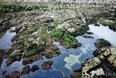 High angle view of stream flowing through rocks