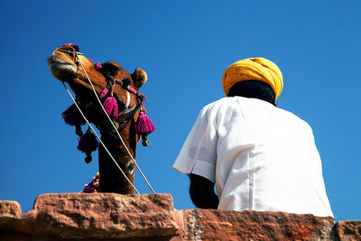 Low angle view of man and camel against clear blue sky on sunny day